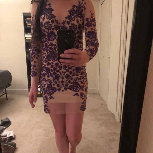 ✨✨ASOS Sheer Nude Purple Embroidered Dress✨✨ - Picture 6 of 7